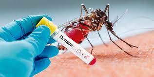 Trung tâm Y tế huyện Tiên Du tăng cường phòng, chống dịch bệnh sốt xuất huyết dengue